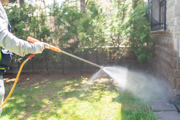 Best Pest Control Near Me in Kilauea, HI